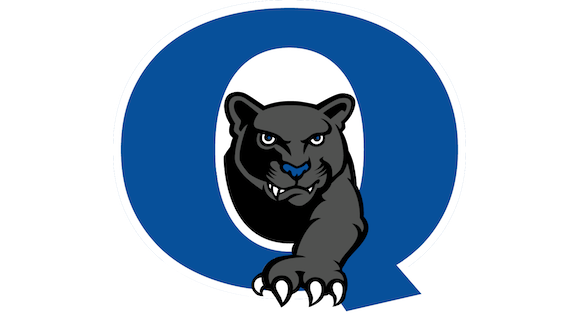 QCSD